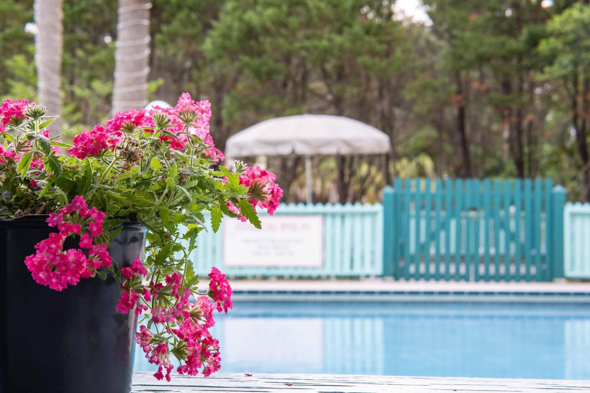 Steinhatchee River Inn And Marina Kültér fotó