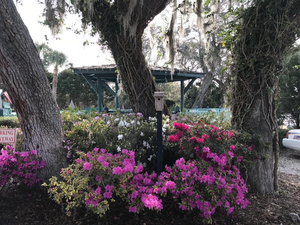 Steinhatchee River Inn And Marina Kültér fotó
